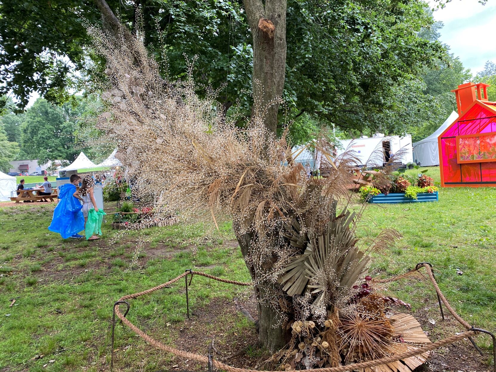 Enchanted Forest Mycelia
